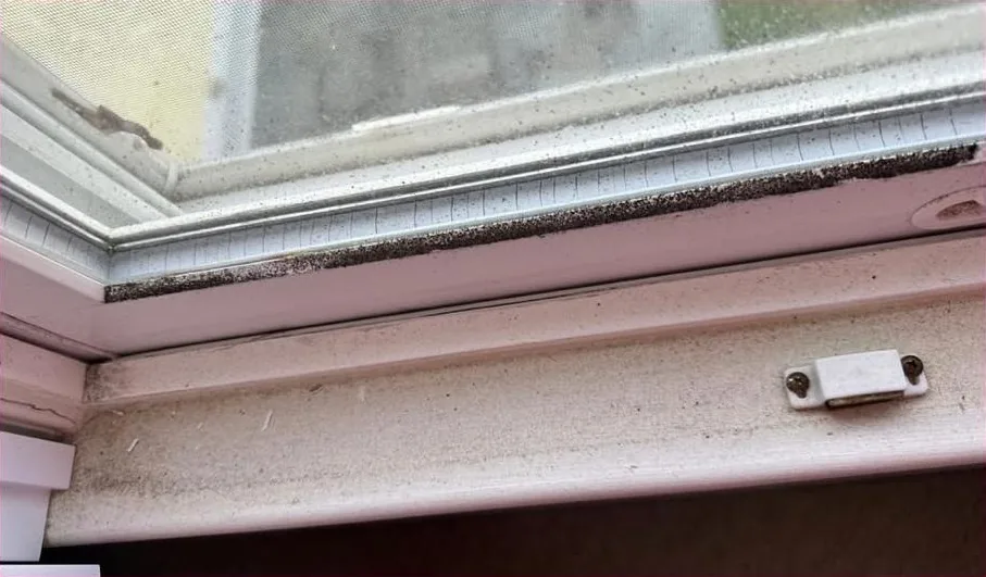 Window sill full of dirt and debris before cleaning